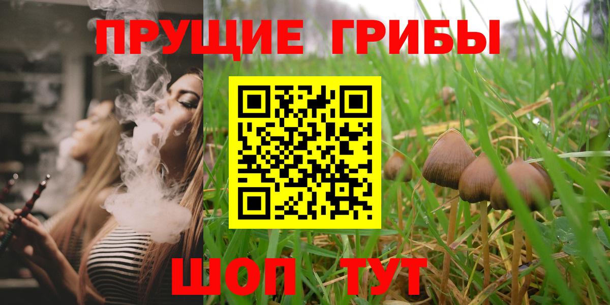 Галлюциногенные грибы Magic Shrooms Лысьва